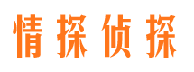 岚县市私家侦探